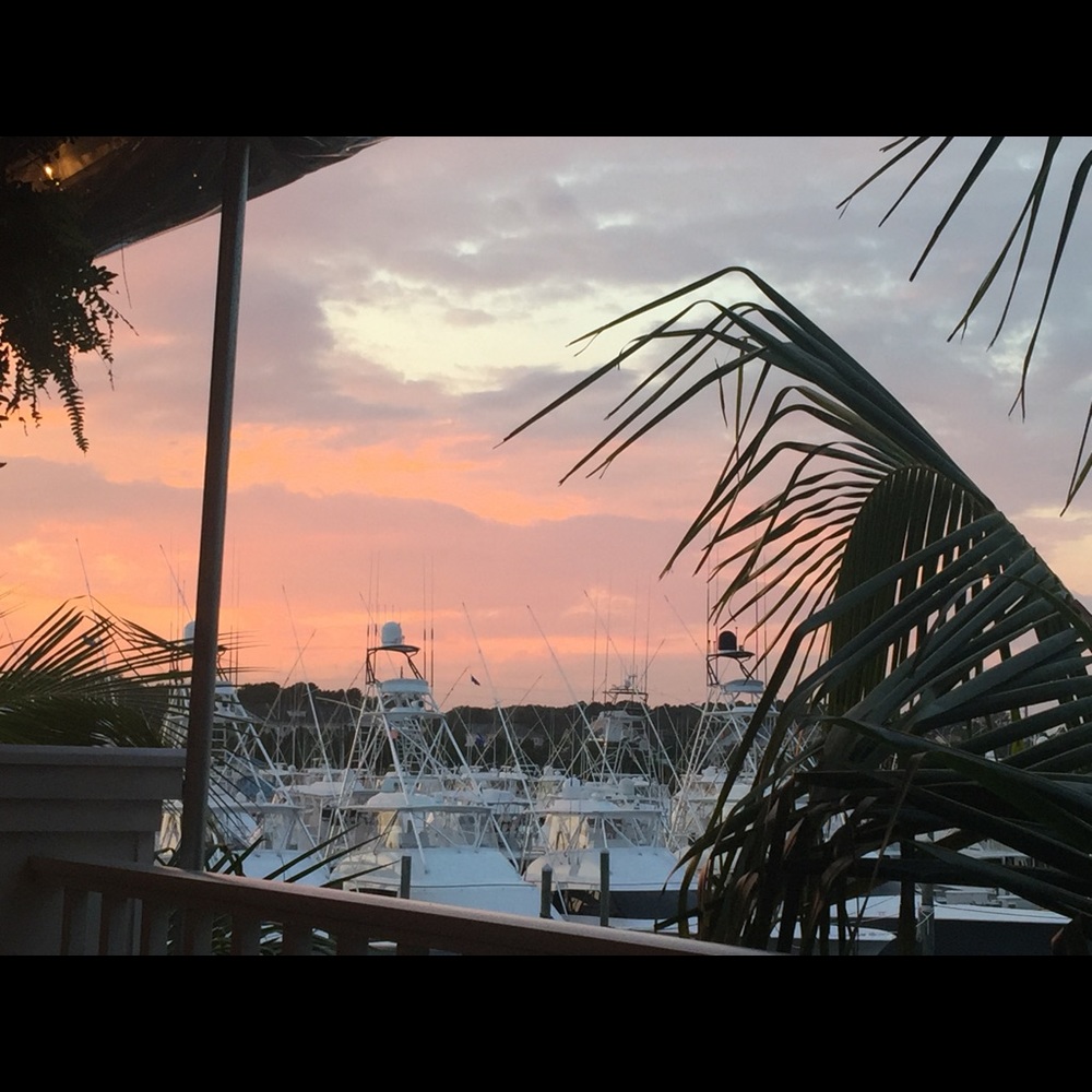 Meet your Posher, Olga